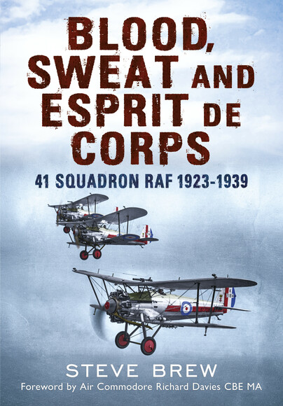 Blood, Sweat and Esprit de Corps Cover