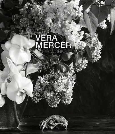 Vera Mercer – New Works