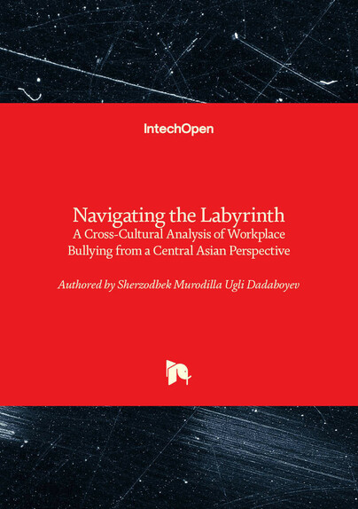 Navigating the Labyrinth Cover