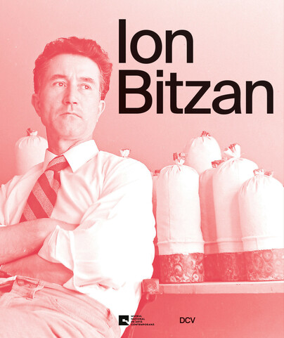 Ion Bitzan Cover