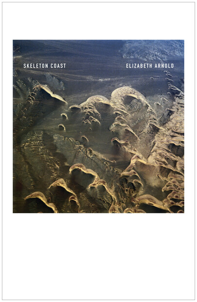 Skeleton Coast Cover