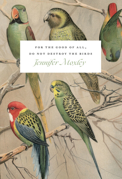 For the Good of All, Do Not Destroy the Birds Cover