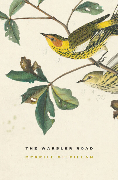 The Warbler Road Cover