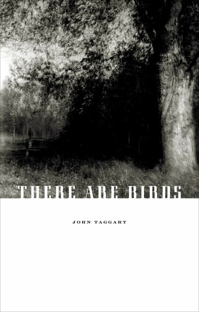 There Are Birds Cover