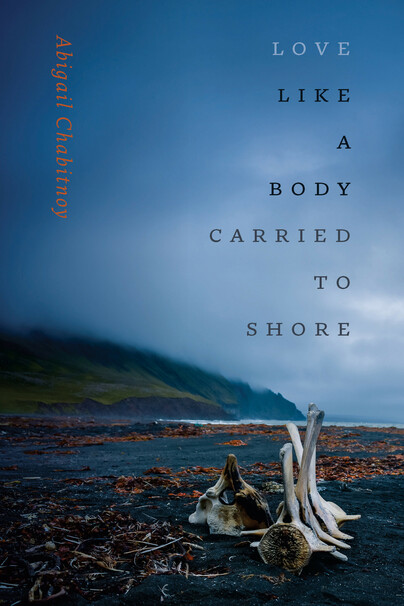 Love Like a Body Carried to Shore Cover