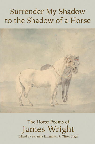 Surrender My Shadow to the Shadow of a Horse Cover