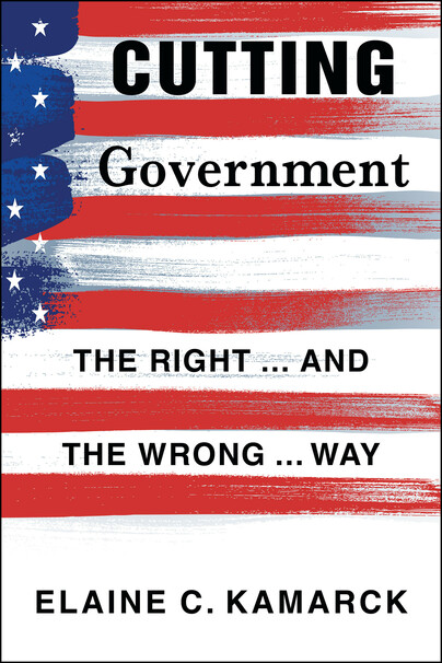 Cutting Government