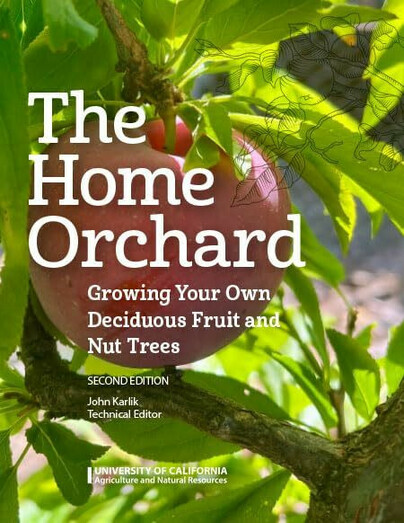 Home Orchard