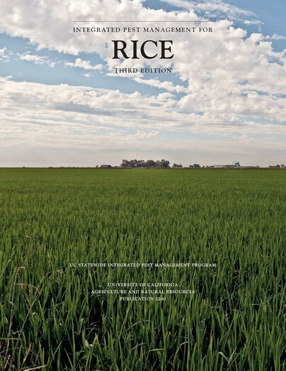 Integrated Pest Management for Rice