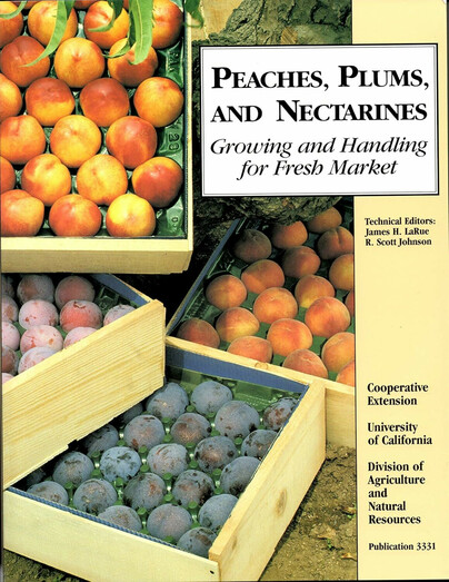 Peaches, Plums, and Nectarines