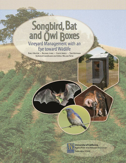 Songbird, Bat and Owl Boxes